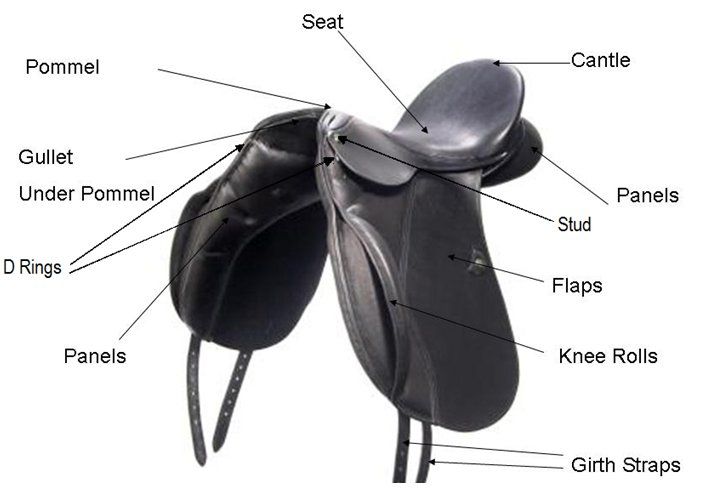 Saddle Parts Diagram Saddle Parts Diagram