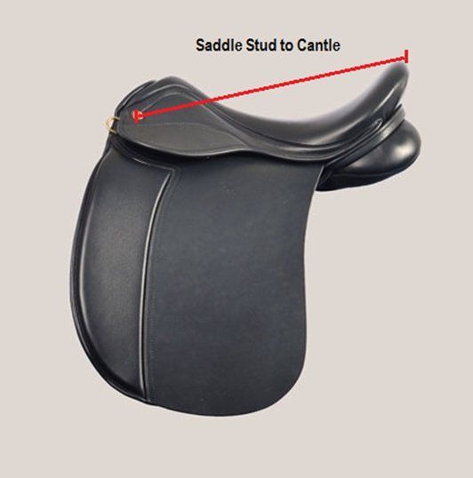 Length saddle stud to cantle